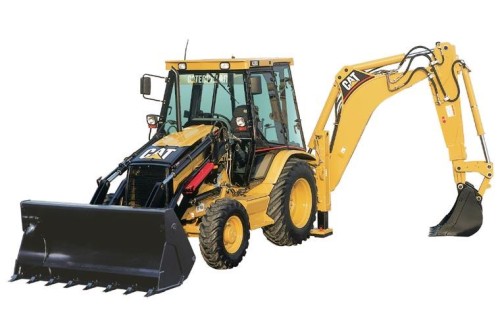 cat d.jpg