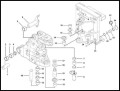 cat d2.jpg