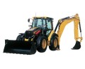cat e.jpg
